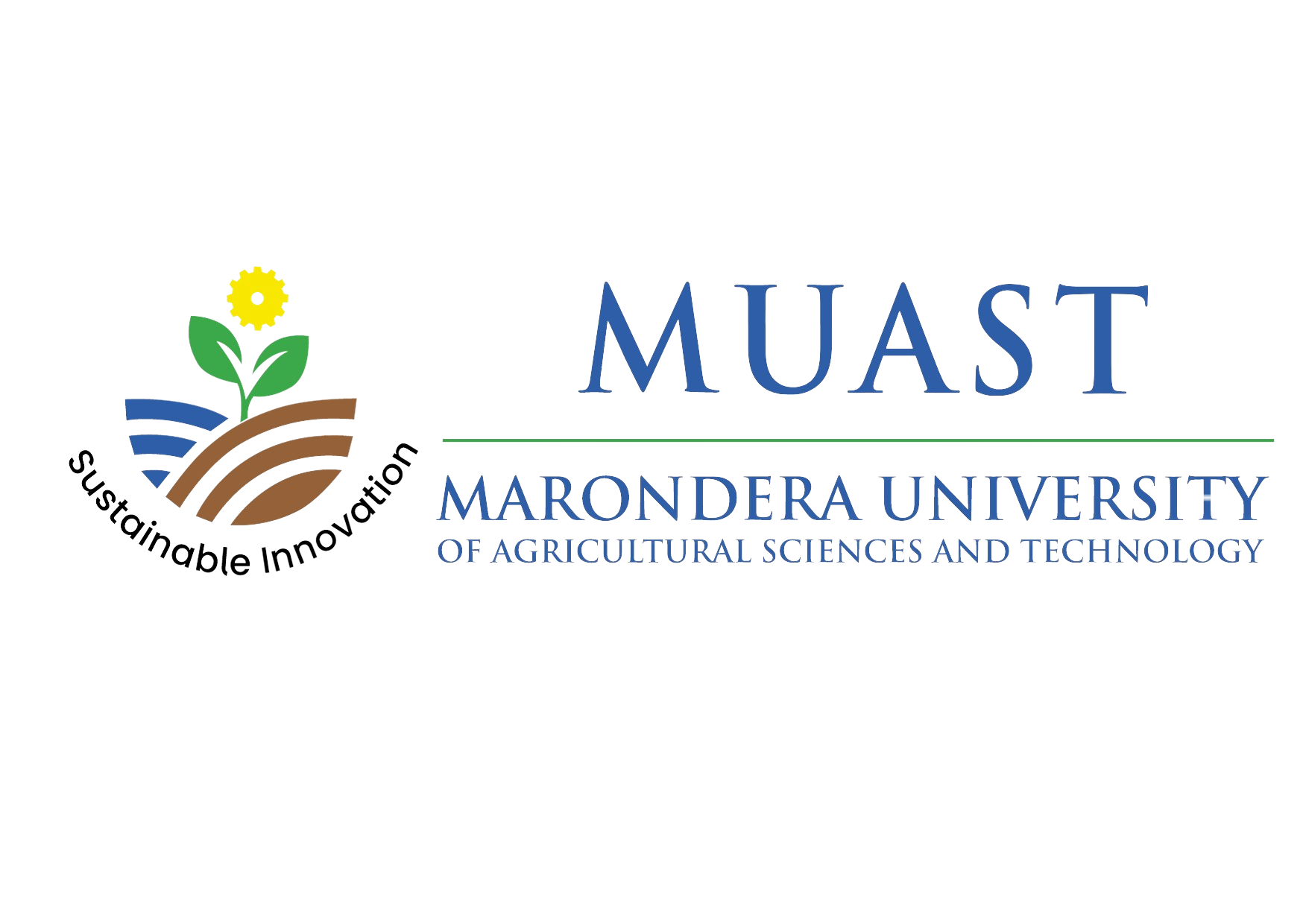 Bulawayo High Case Study